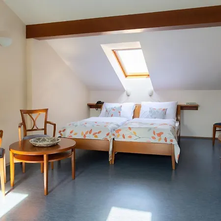 Sibelius Apartahotel 3*