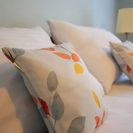 아파트호텔 Art Nouveau Sibelius 1902