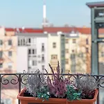 Sibelius - Art Nouveau 1902 Aparthotel Praha