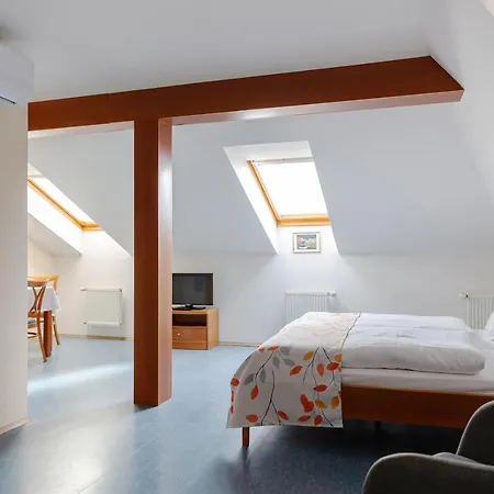 Sibelius Appart hôtel 3*